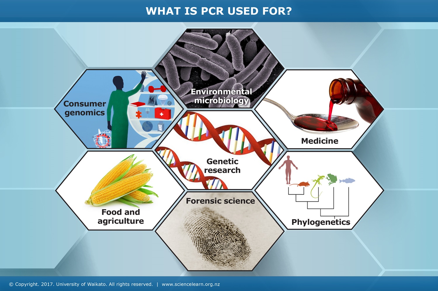 PCR کاربردهای