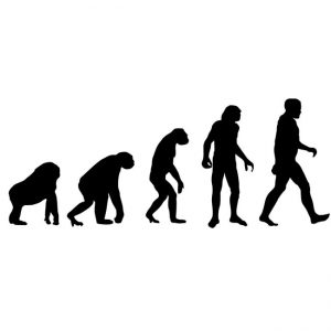 371443 human evolution 1
