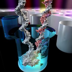 Biophysics 