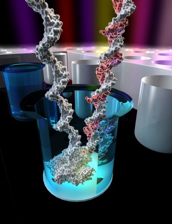 Biophysics