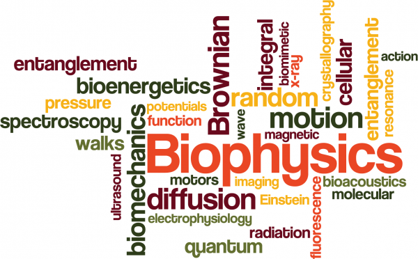 biophyscs