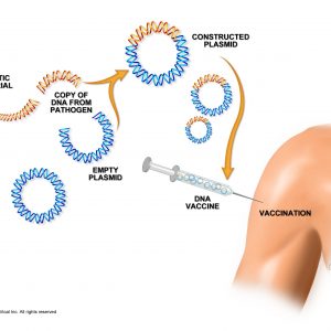 dna graphic scaled