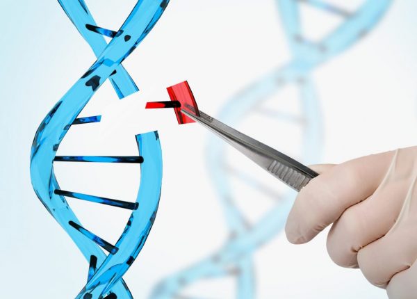 genetic