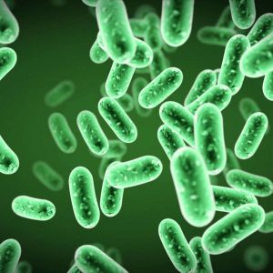 microbiology 1