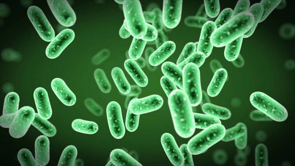 microbiology 1