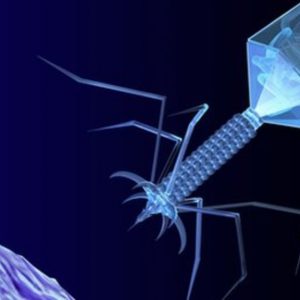 virology