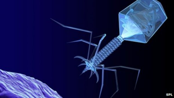 virology
