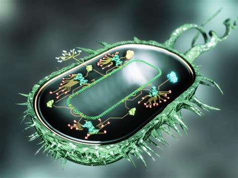 synthetic biology