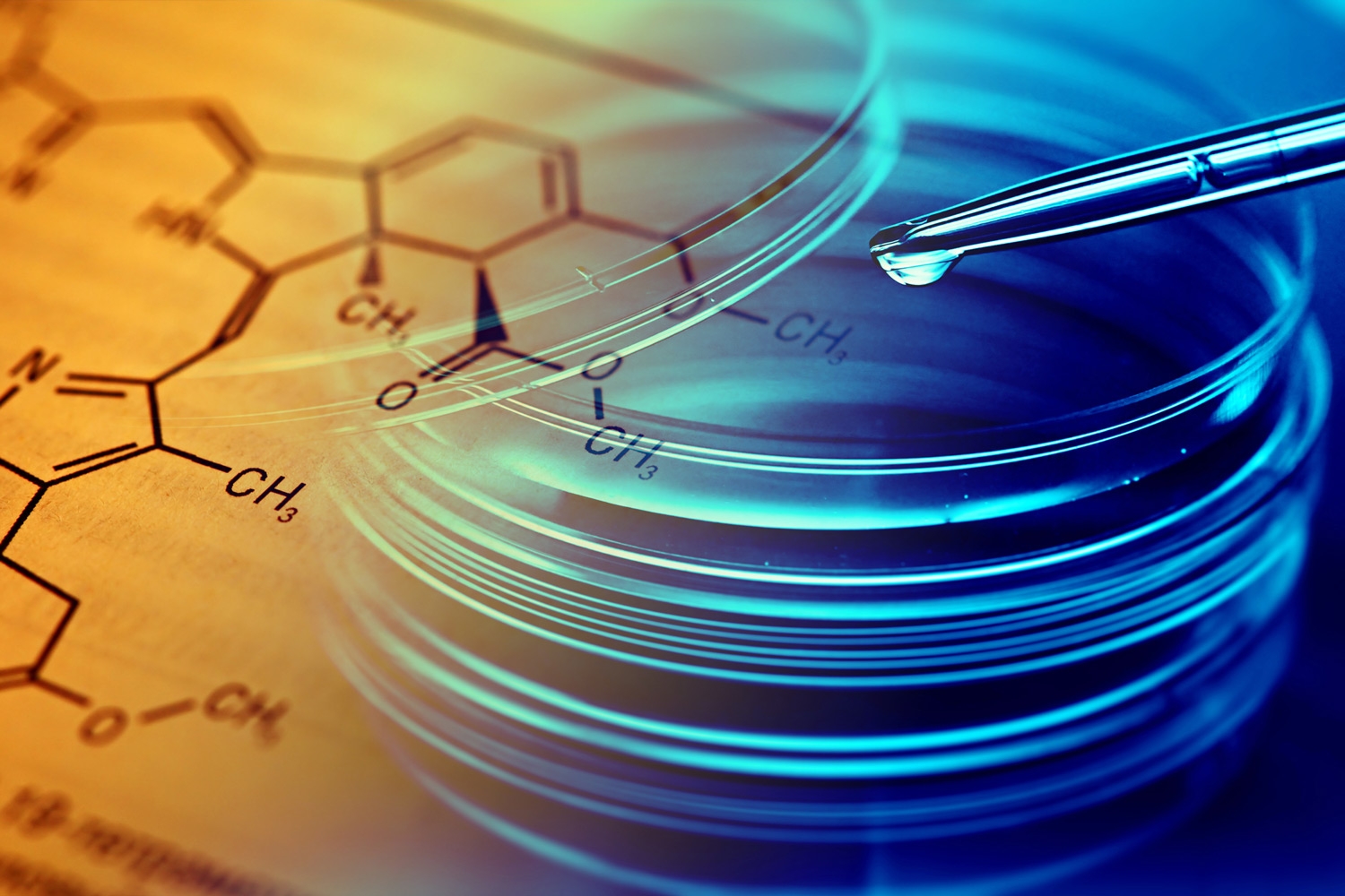 biotechnology school nasr