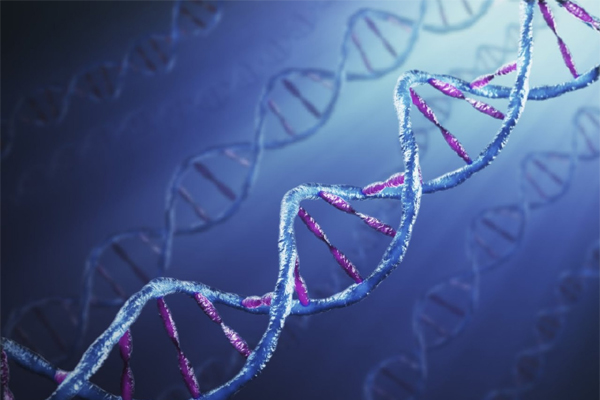 bioinformatics